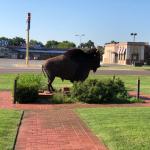 2019_OTRA_1312 (September 07, 2019)